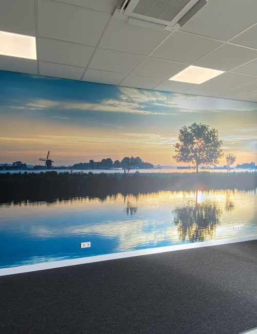 Full Color Foto Behang